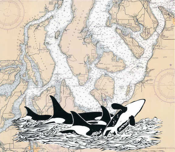 "Nisqually Orcas" by Mimi Williams